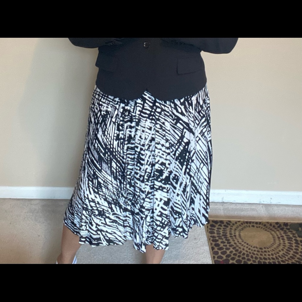 Skirt and (Optional) Blazer